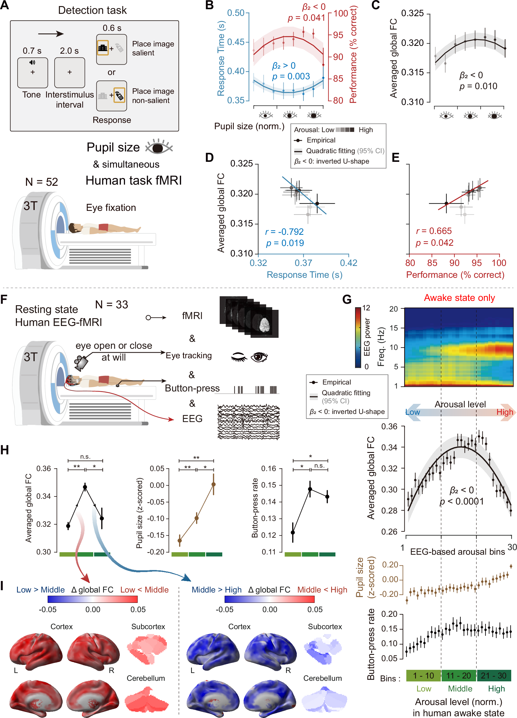 Fig. 1: Inverted U-shaped relationship between arousal and whole-brain FC in human detection task and resting states.