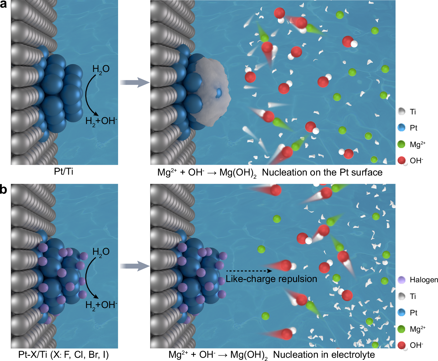 Fig. 1: Schematic illustrations of different surface properties of Pt-based cathodes during HER in natural seawater.