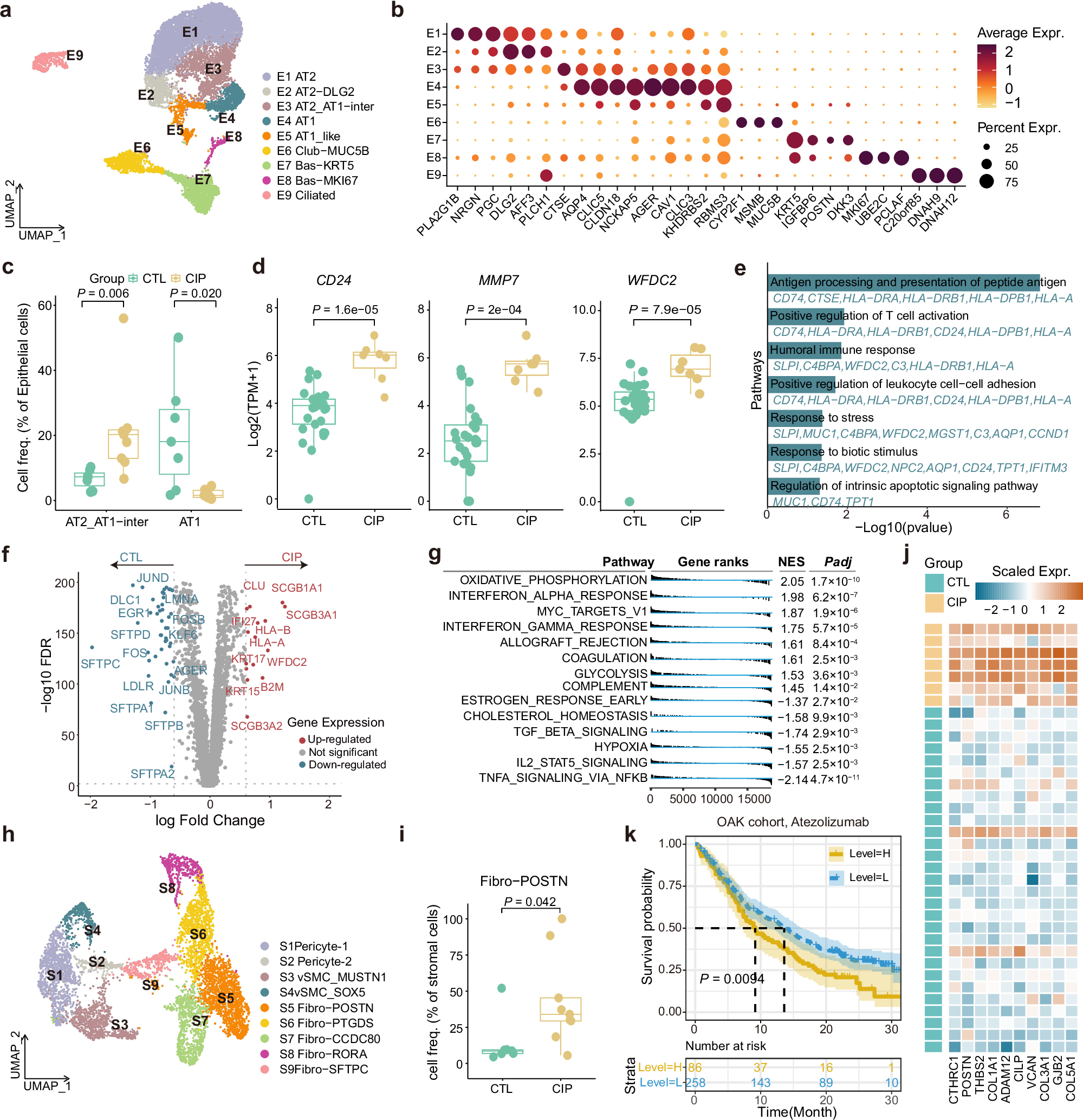 Fig. 7: Analysis of non-immune cells and CIP-Associated Clusters.