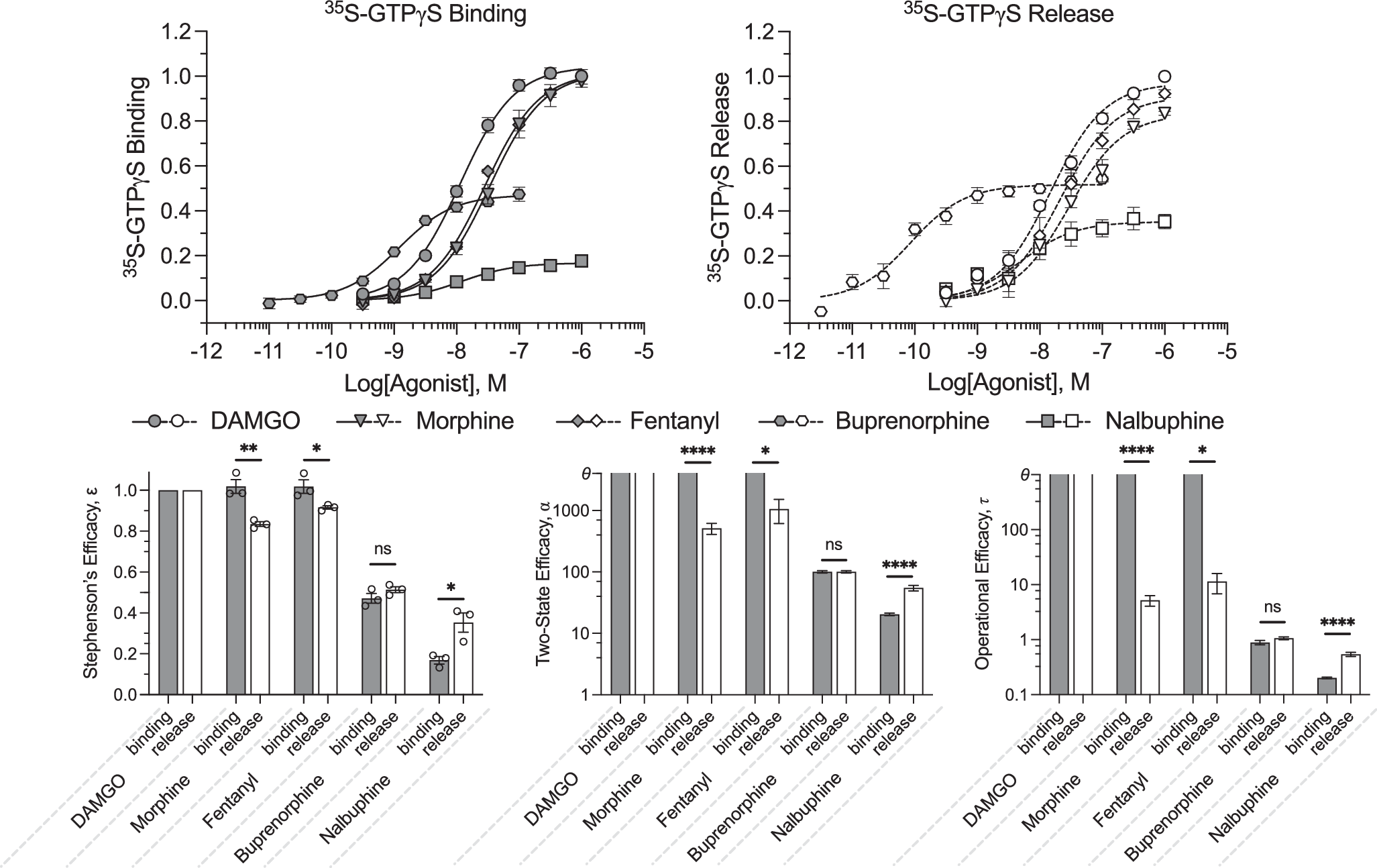 Fig. 6: Active-state selective agonists have different efficacy for 35S-GTPγS binding and release.