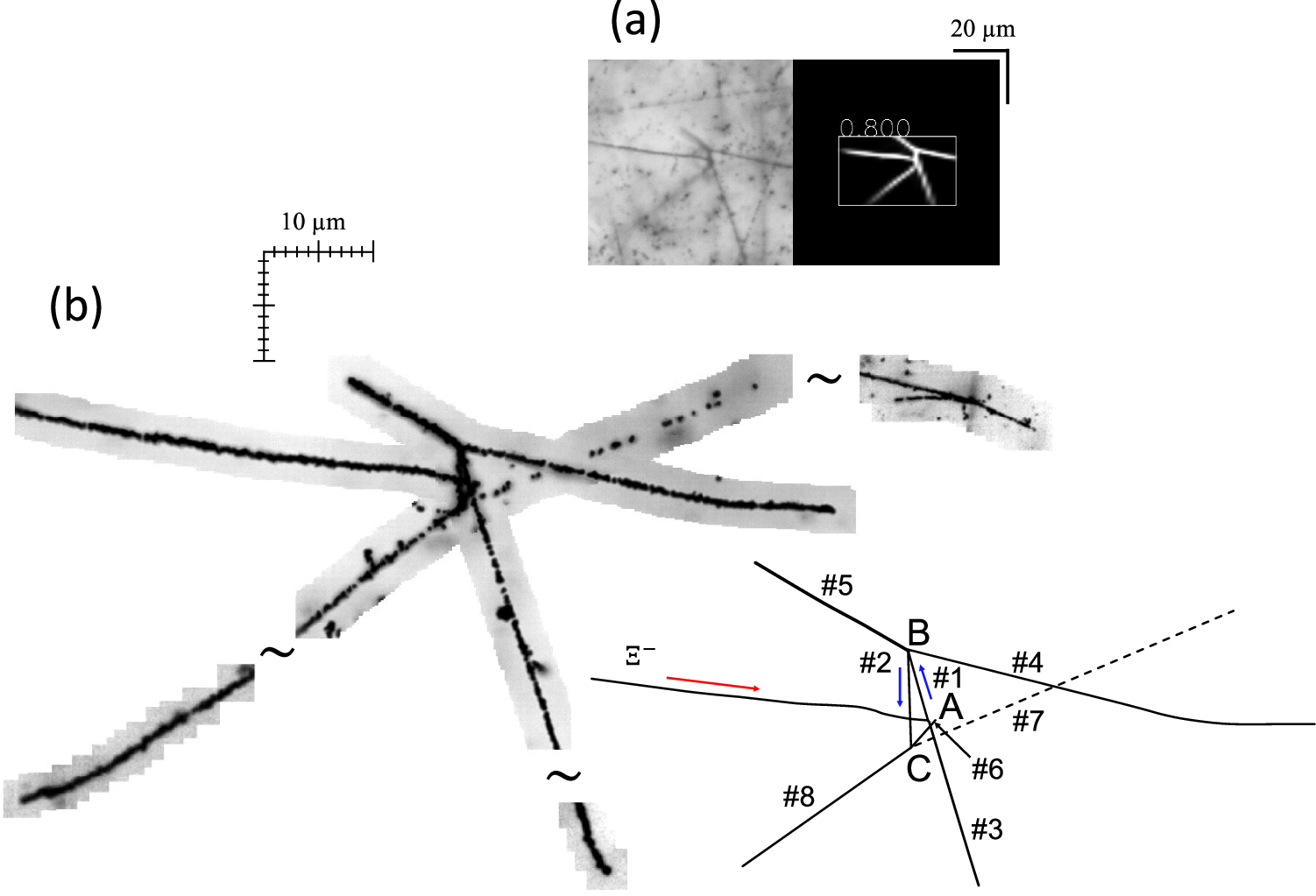Fig. 1: Detection of the double-Λ hypernuclear event using machine learning.