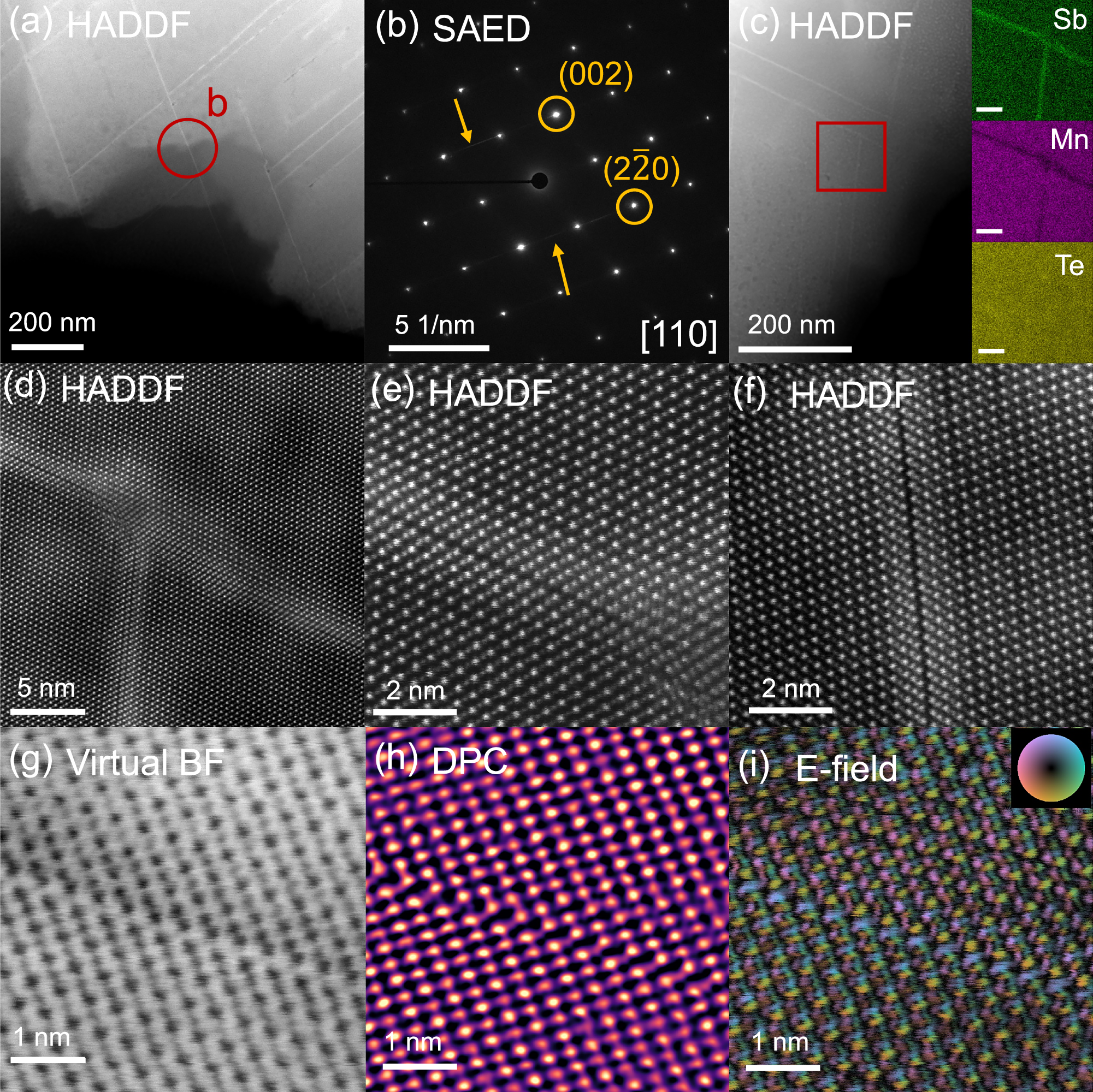 Fig. 4: Scanning transmission electron microscopy (STEM) analysis of LiMnSbTe3.