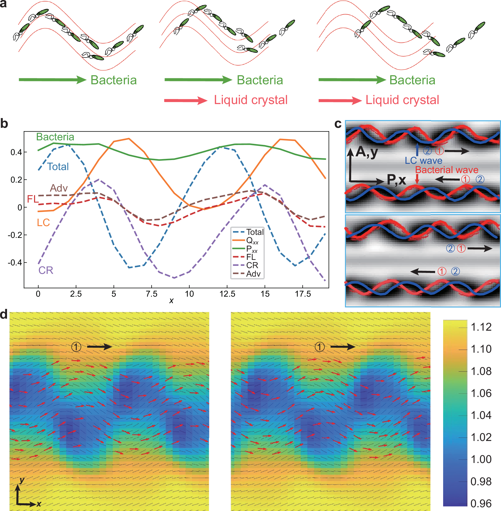 Fig. 3: Mechanism of double traveling waves.