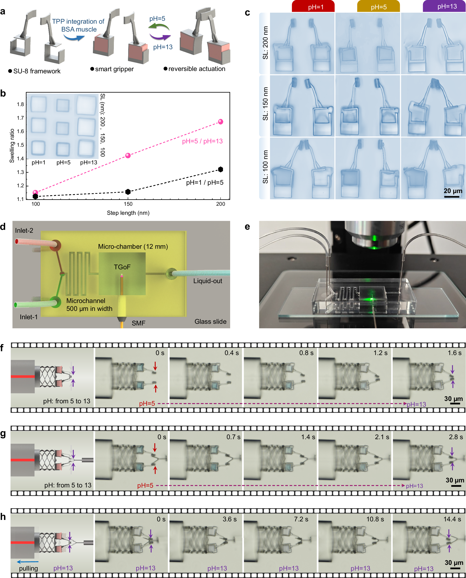 Fig. 4: Manipulation of grippers.