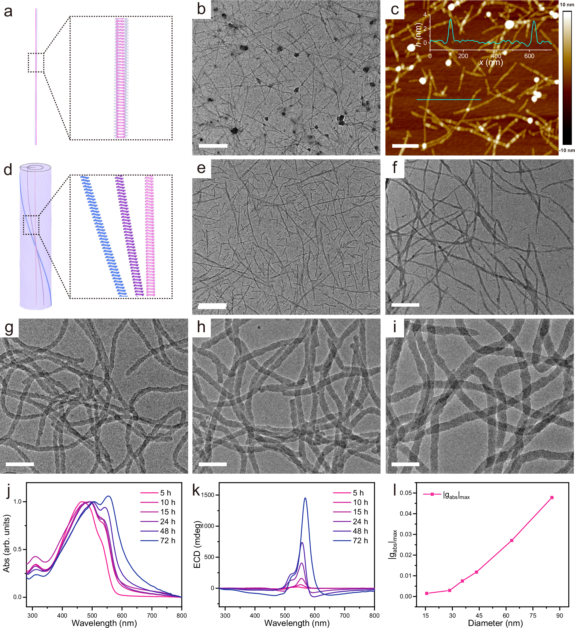 Fig. 5: Monitoring the growth process of t-TpAzo-R-AMB.