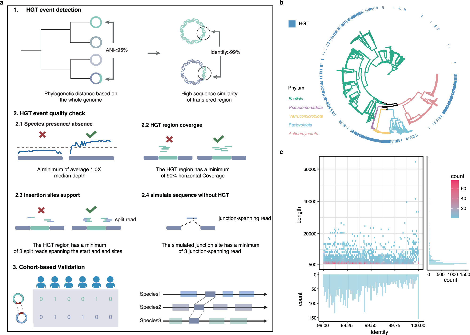 Fig. 1: Recent horizontal gene transfers (HGTs) are commonly present in the gut microbiome.