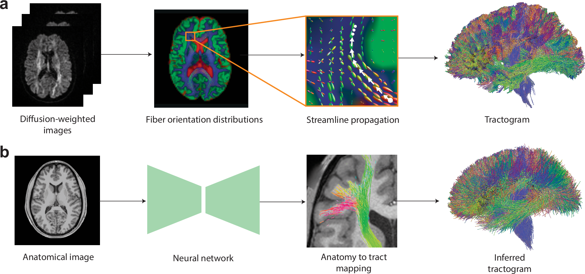 Fig. 1: Streamline propagation versus anatomy-to-tract mapping (ATM).