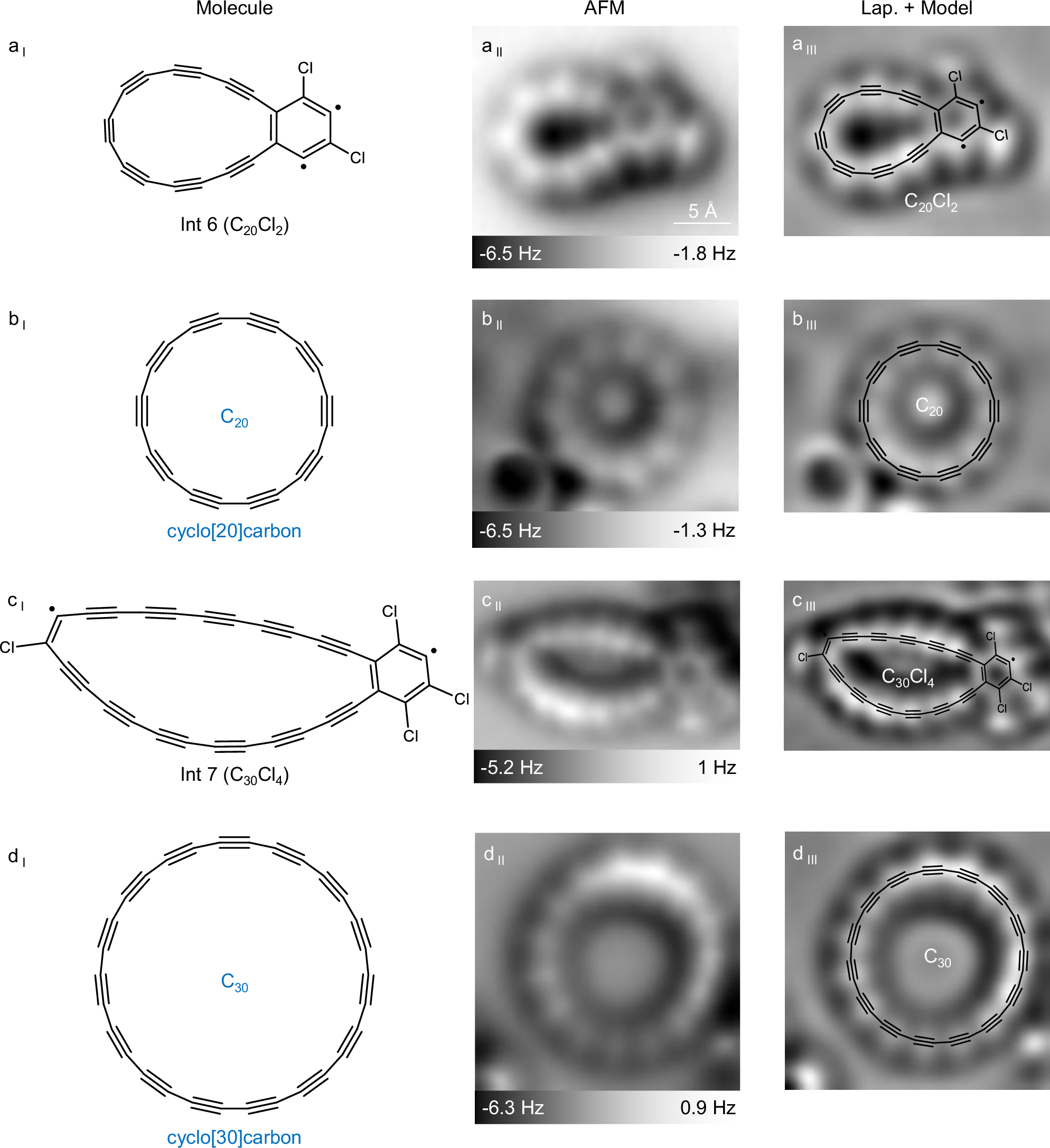 Fig. 4: Other reaction pathways towards cyclo[20]carbon and cyclo[30]carbon.
