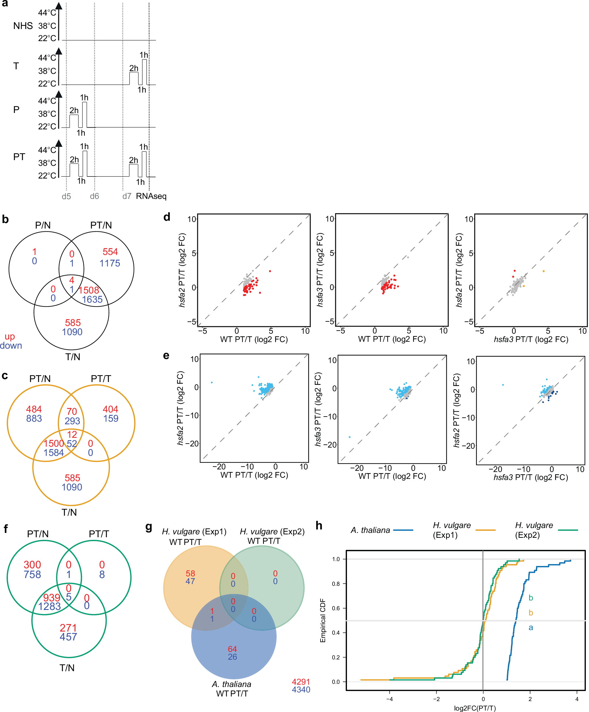Fig. 5: Analysis of genes with heat-induced Type I or Type II transcriptional memory in barley.