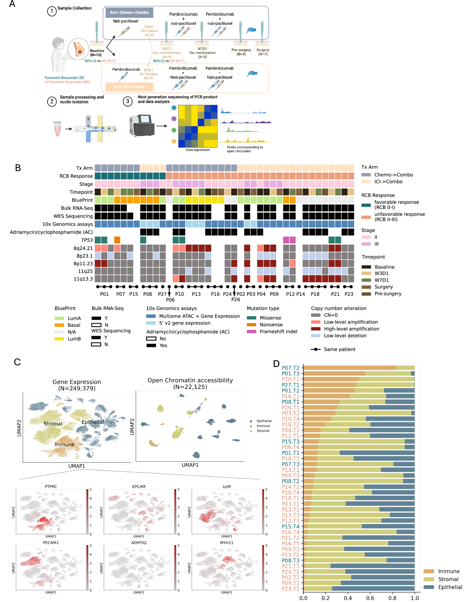 Cellular reprogramming during anti-PD-1 and chemotherapy treatment in early-stage primary hormone receptor-positive breast cancer