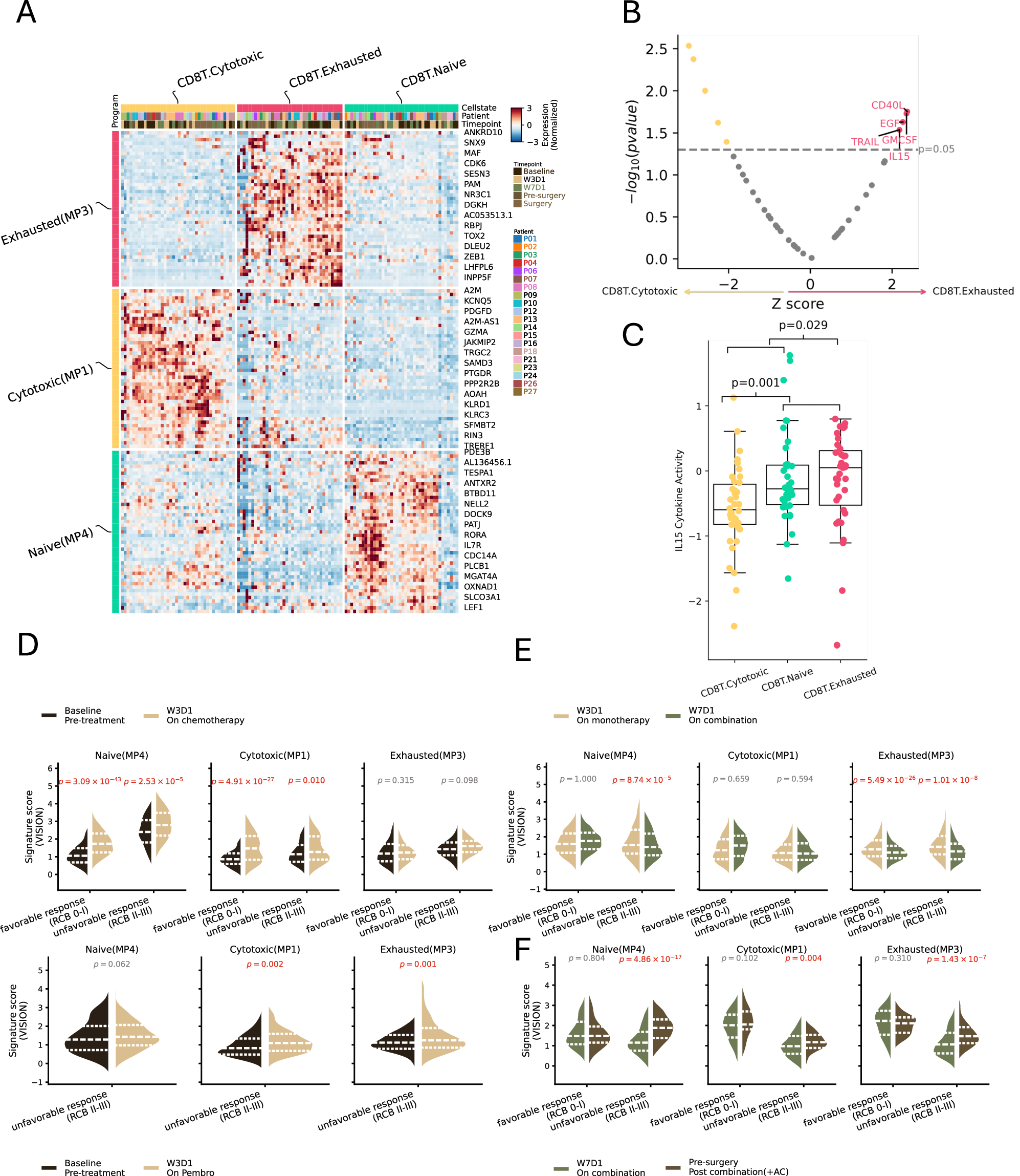 Fig. 3: Reprogramming of CD8+ T cells and their molecular signatures during monotherapy and combination therapy.