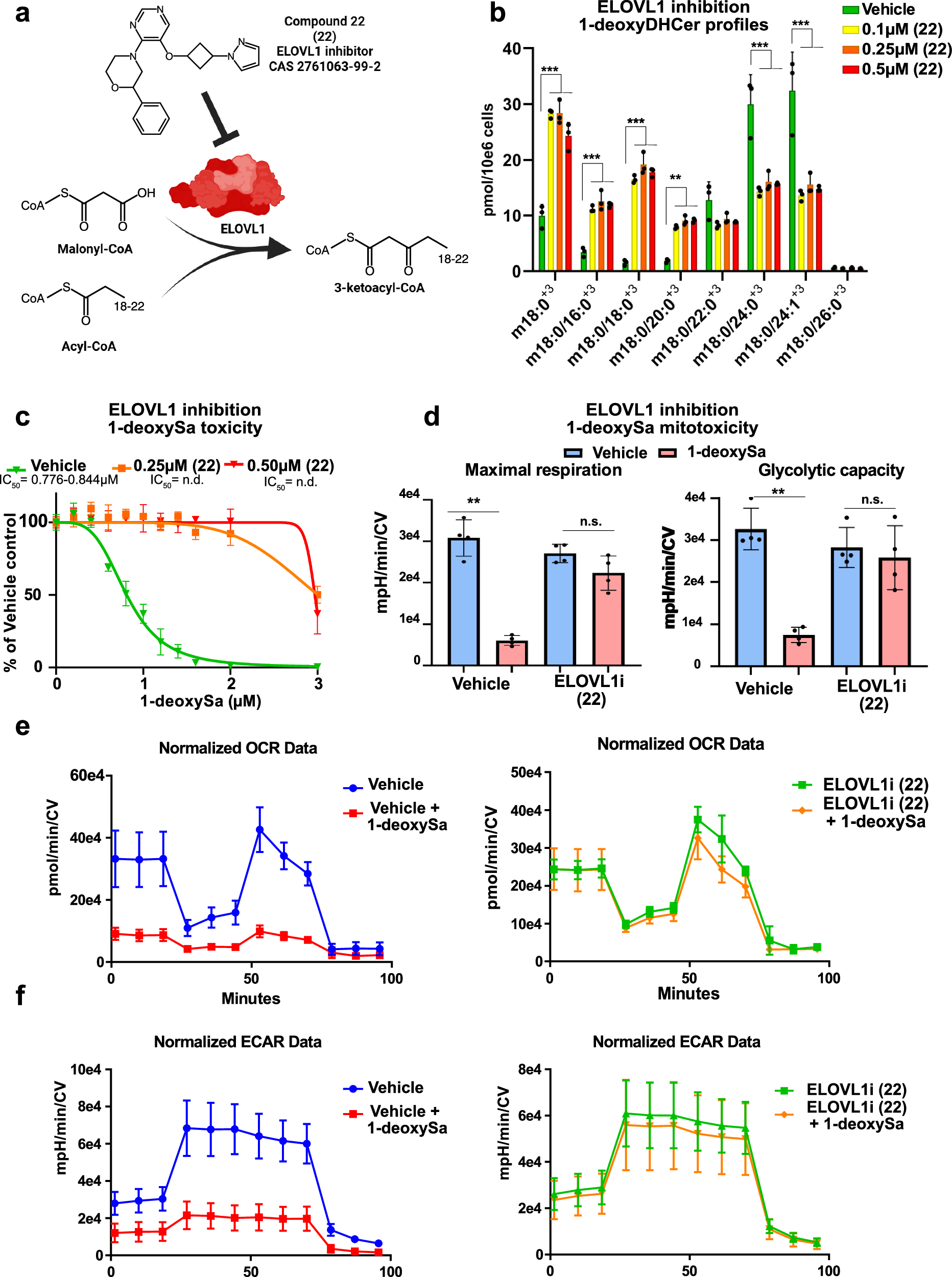 Fig. 4: Pharmacological inhibition of ELOVL1 mitigates 1-deoxysphingolipids induced mitochondrial and cellular toxicity.