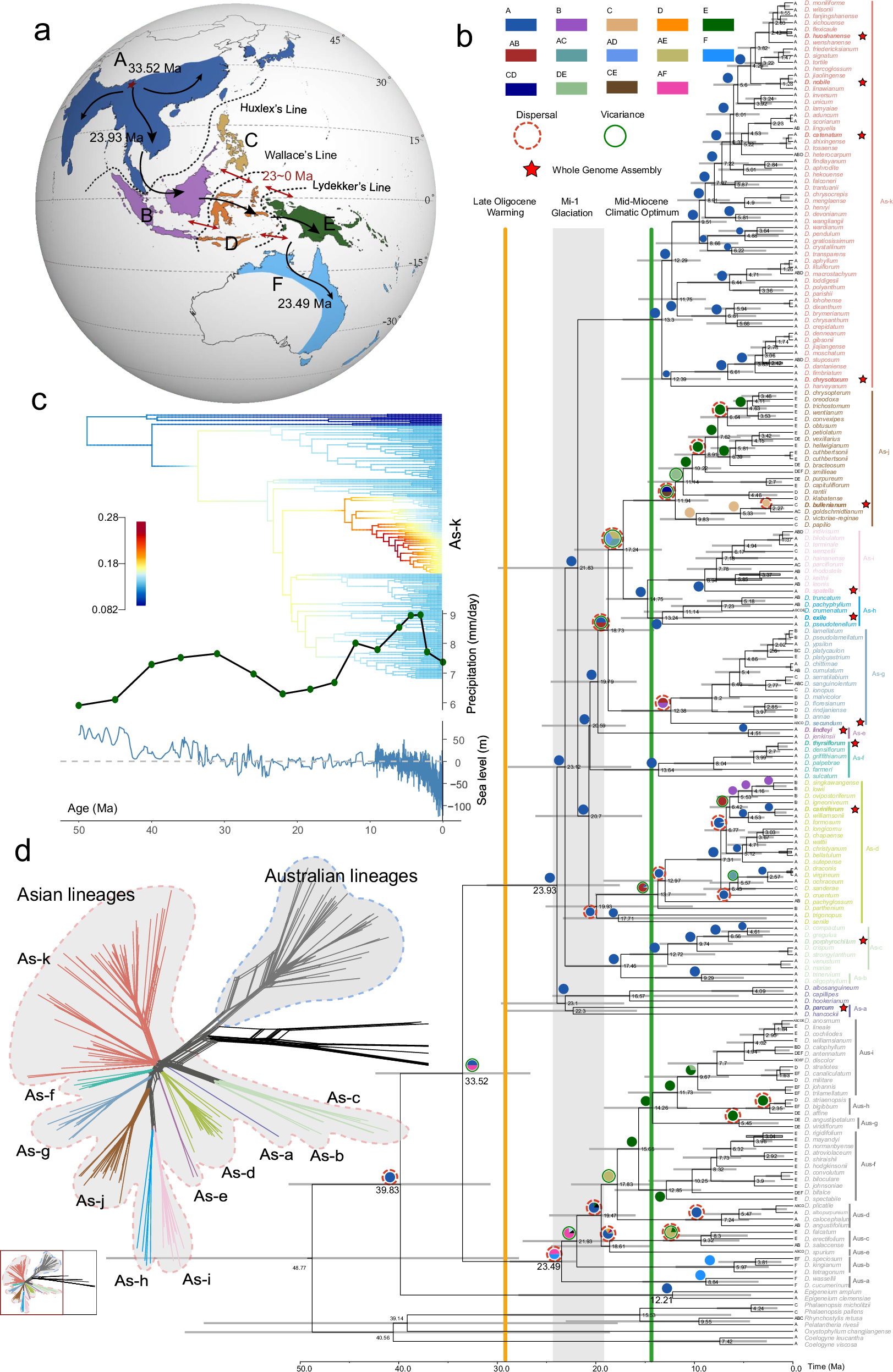 Fig. 5: The phylogenetic and biogeographical analyses of the Dendrobium genus.