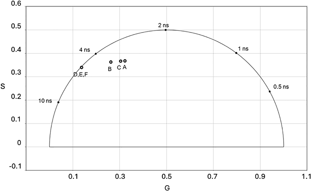 Fig. 4: FLIM analysis of Apt1 affecting RAD51 and BRC4 interaction.