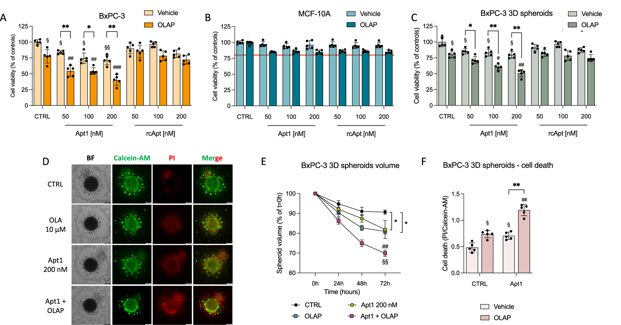 Fig. 7: Impact of Apt1 on DNA repair and cell viability in 2D and 3D models under synthetic lethality conditions.