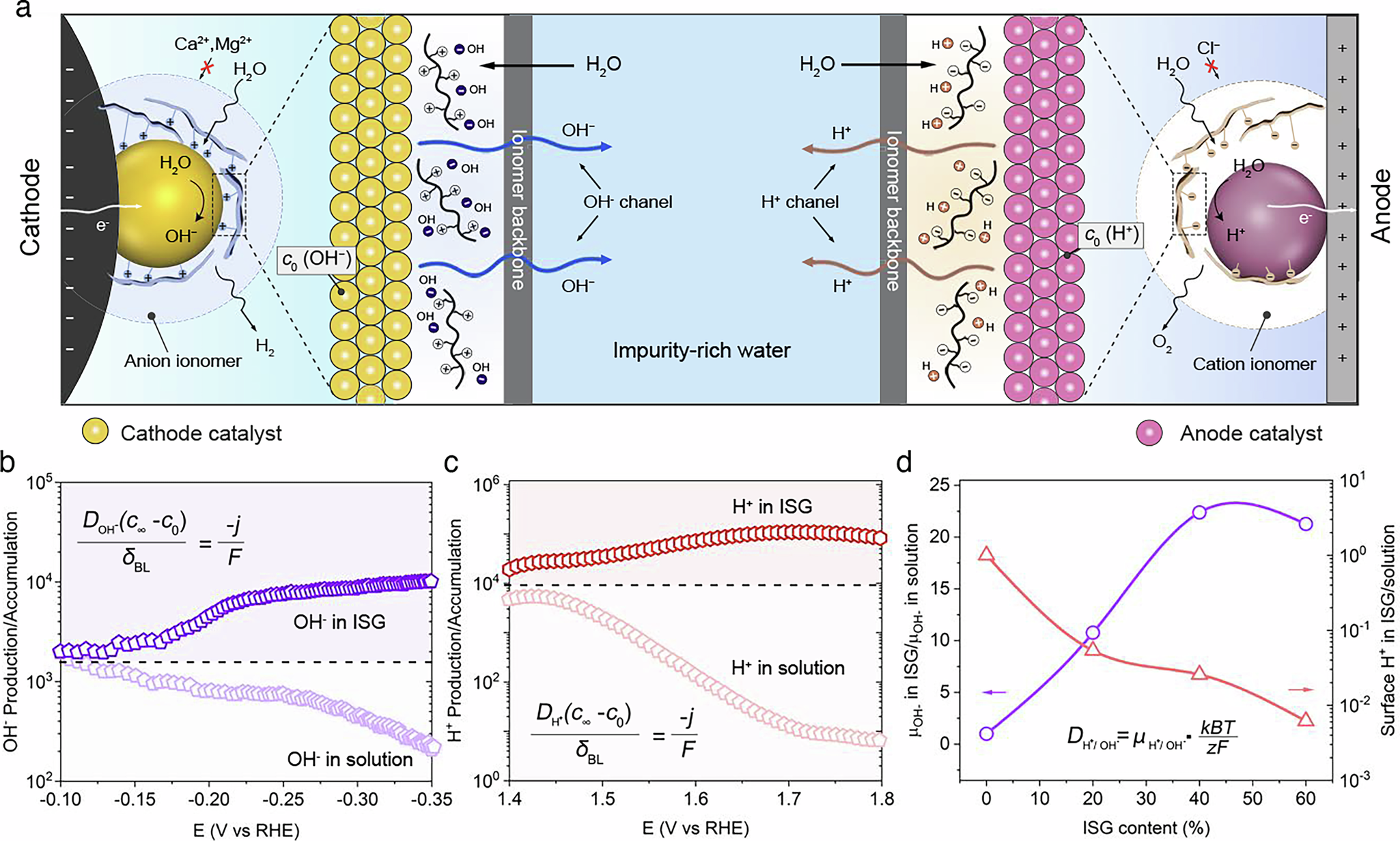 Fig. 4: pH regulation and ion transport in seawater electrolysis with ISG.