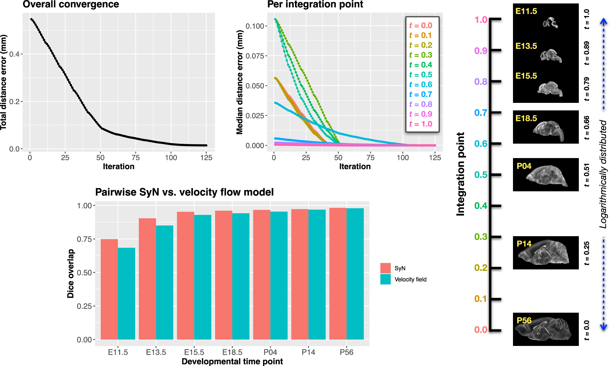 Fig. 4: Convergence and evaluation of the velocity flow model across the DevCCF developmental trajectory.