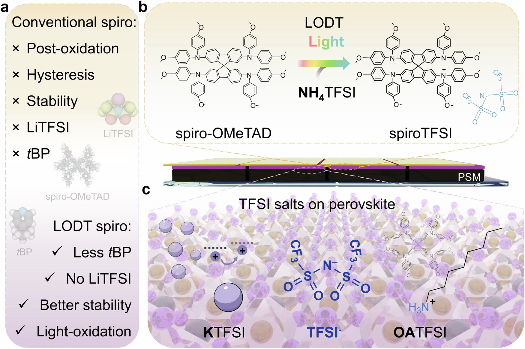 Fig. 1: Schematic illustration of the holistic strategy for improving perovskite solar module (PSM) performance using versatile TFSI salts.