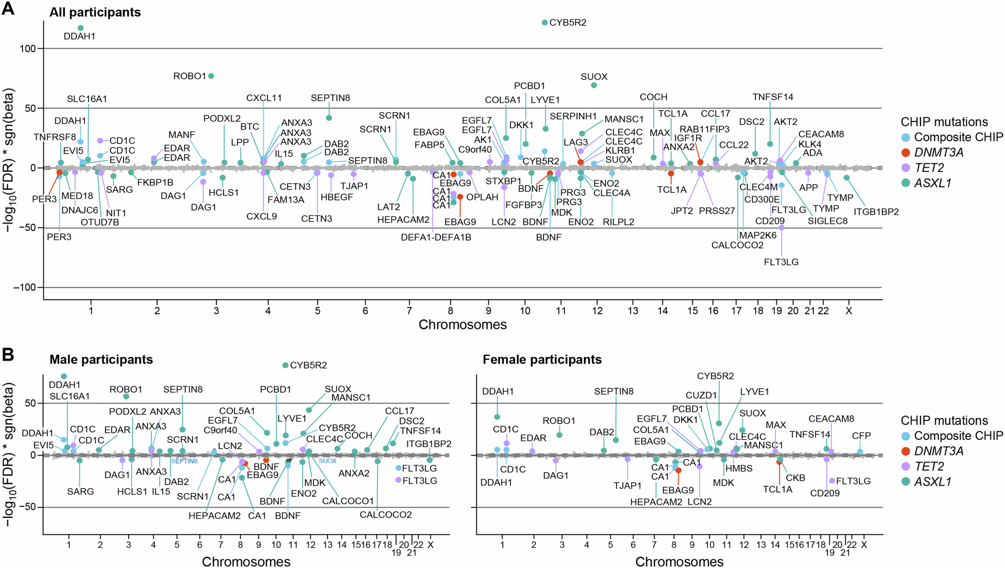 Fig. 4: Associations between CHIP mutations and circulating proteome quantified by Olink in UK Biobank.