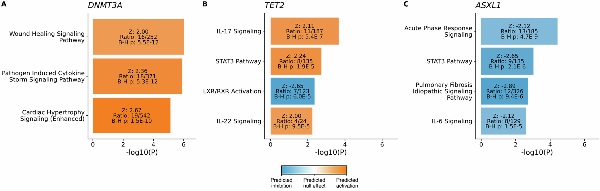 Fig. 7: Significantly enriched and modulated pathways were identified among proteins associated with CHIP driver genes.
