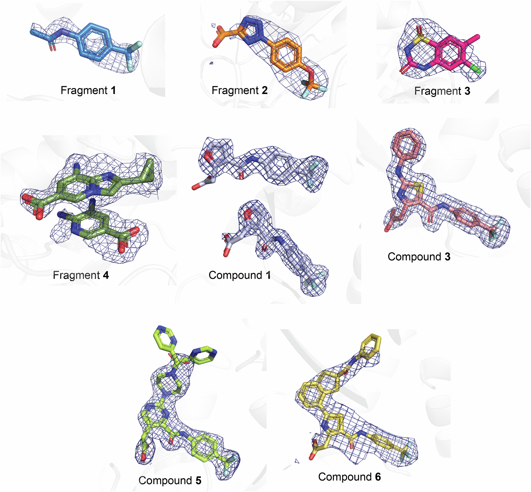 Fig. 4: Calculated Fo-Fc electron densities from all ligand-bound X-ray experiments.