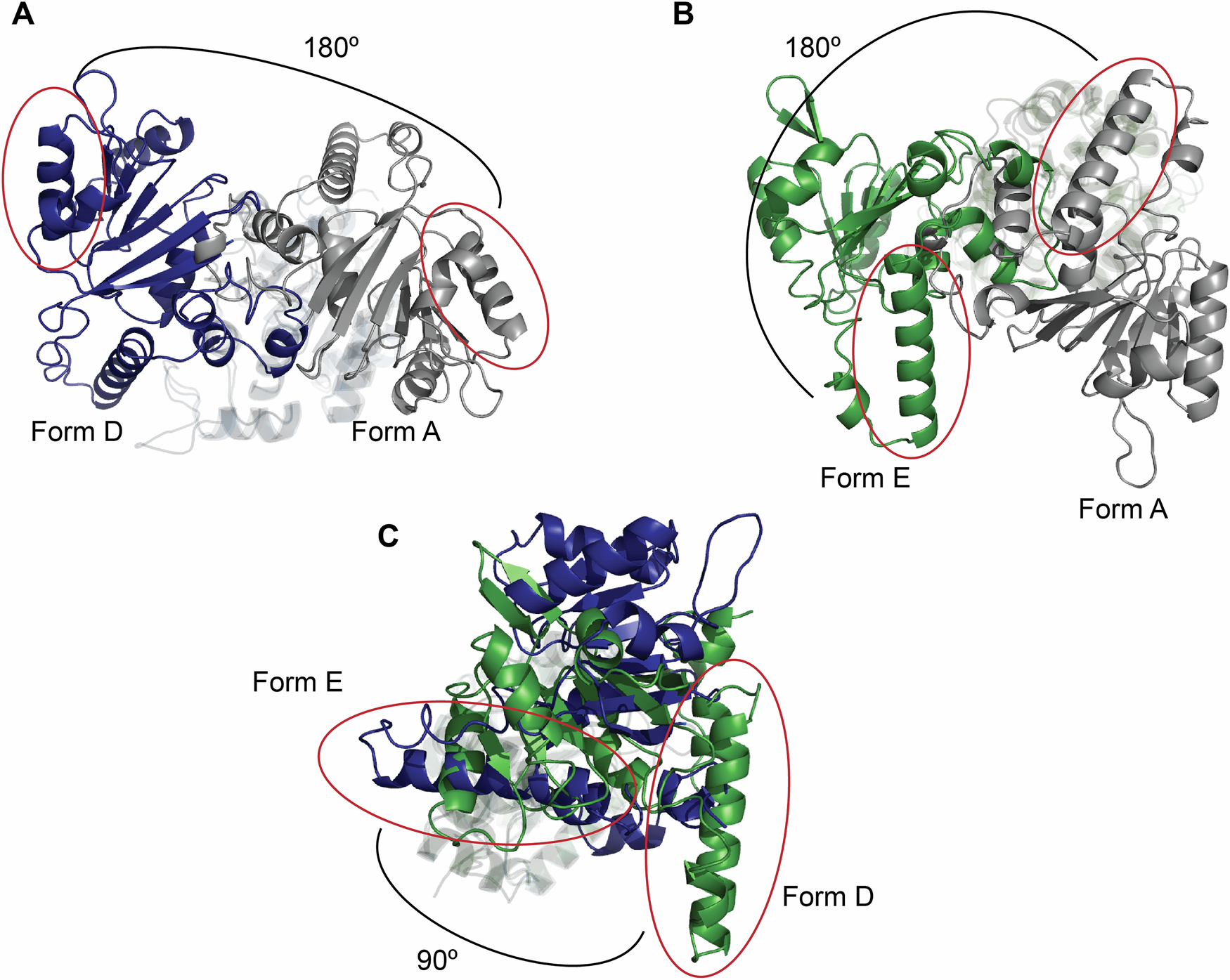Fig. 9: Comparison of WRN conformations Form A, D, and E.