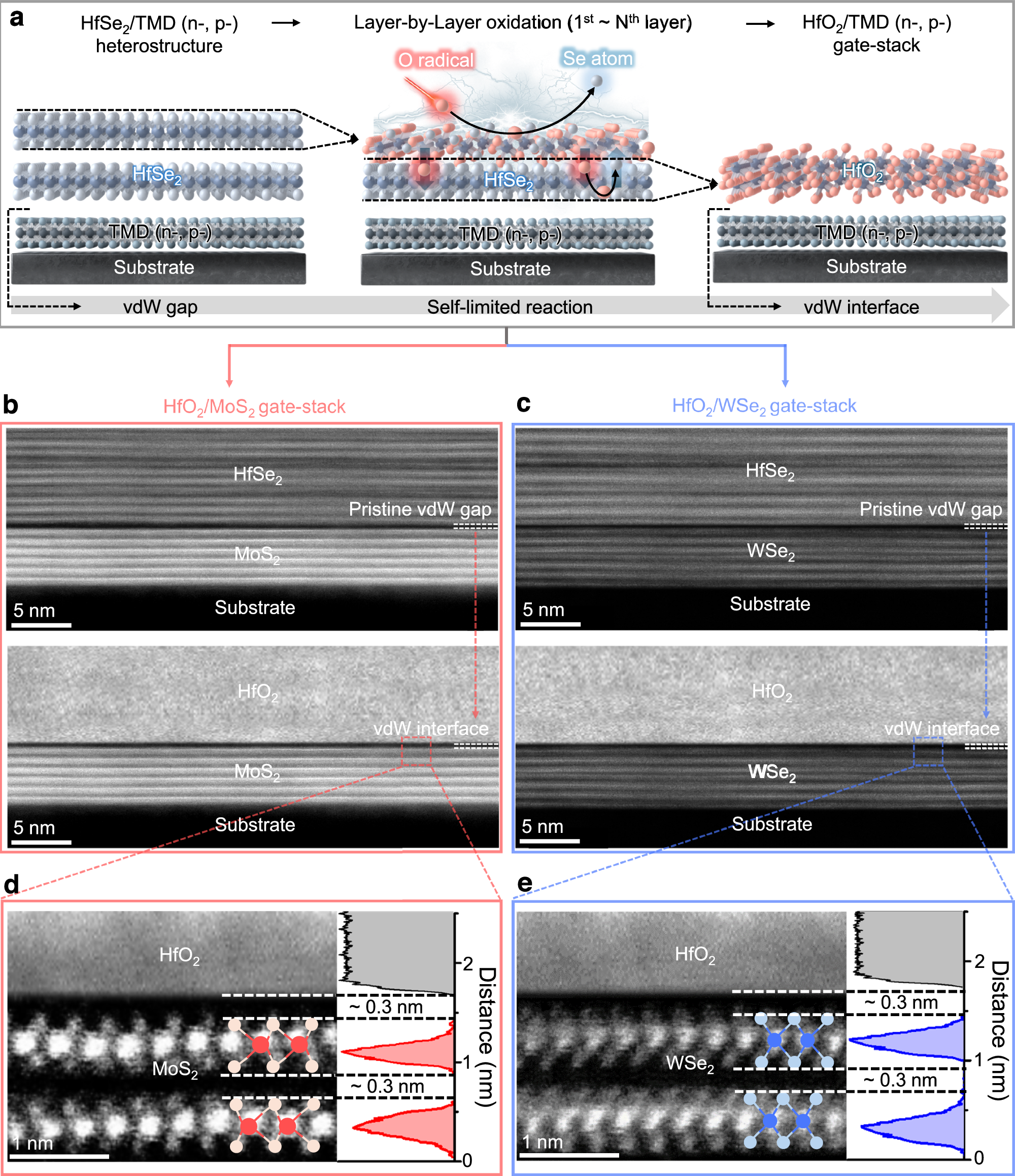 Fig. 1: Integration process and structural characterisation of van der Waals (vdW) interface-integrated high-κ/transition-metal dichalcogendie (TMD; n-, p-) gate stacks.