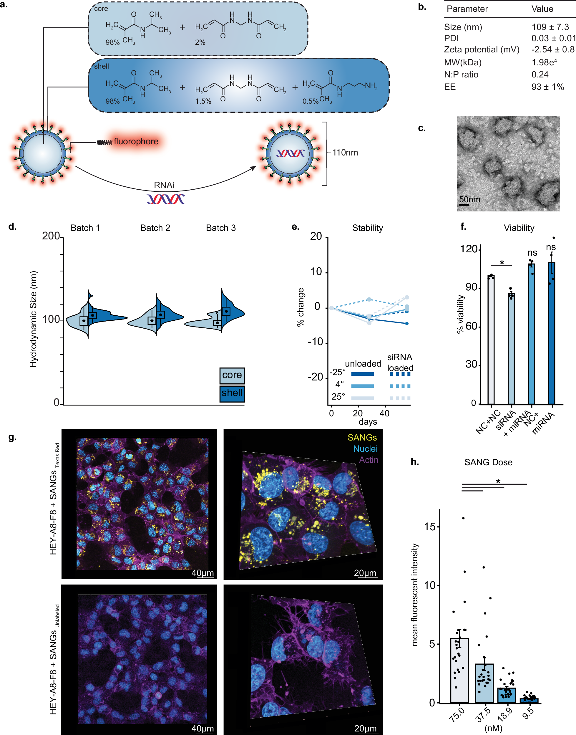 腫瘍にのみ薬剤を放出する自己組織化ナノハイドロゲル（Target the Tumor. Spare the Body.）