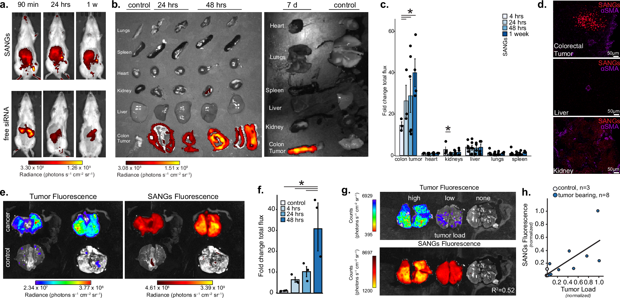 Fig. 4: Tumor agnostic, cross species in vivo and ex vivo biodistribution.