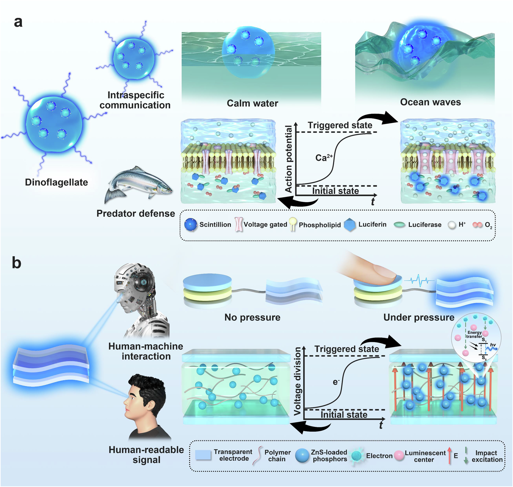 Fig. 1: Schematic illustration of the biomimetic SOTS.