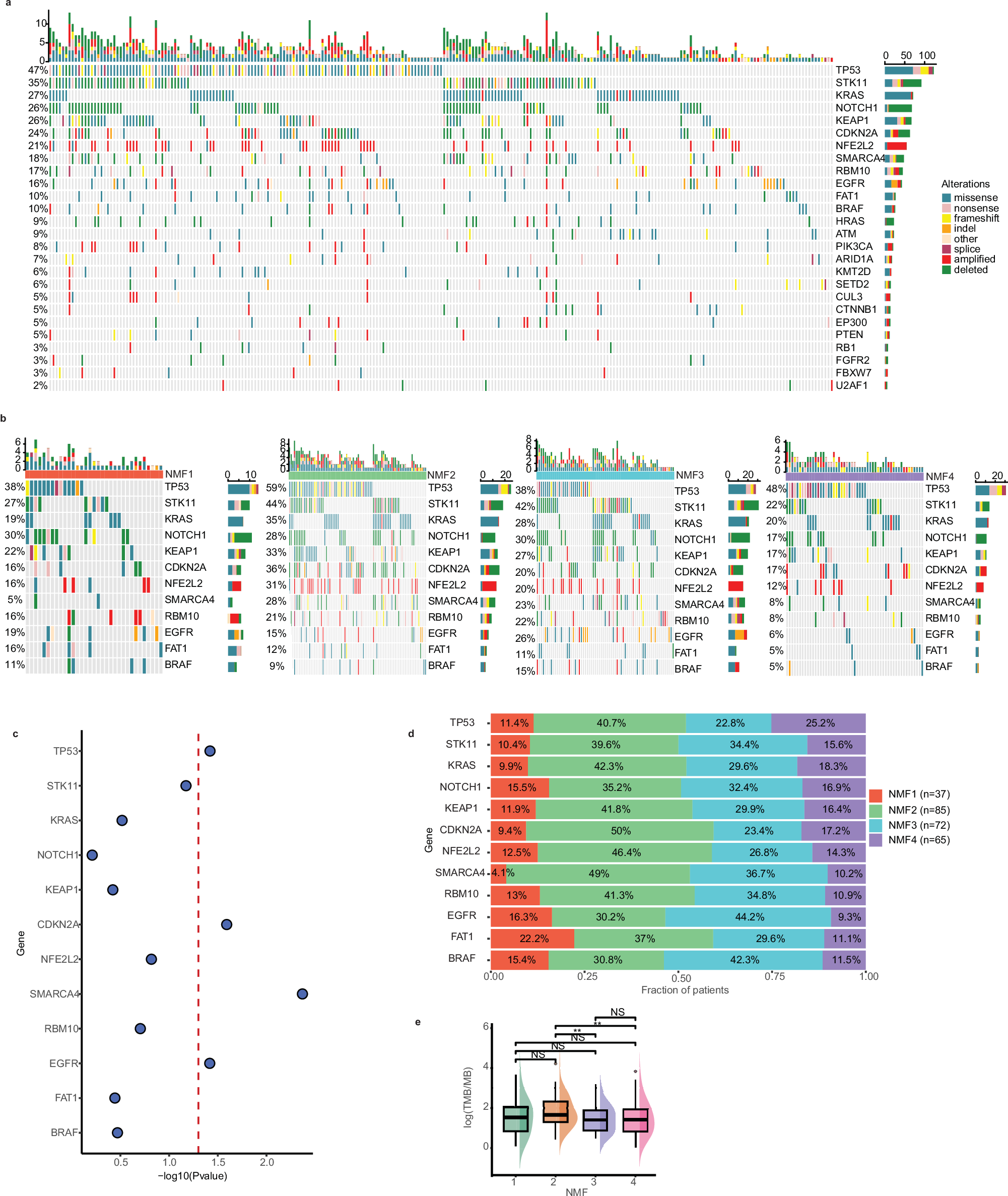 Fig. 2: Landscape of somatic mutations in the NMF molecular subtypes.