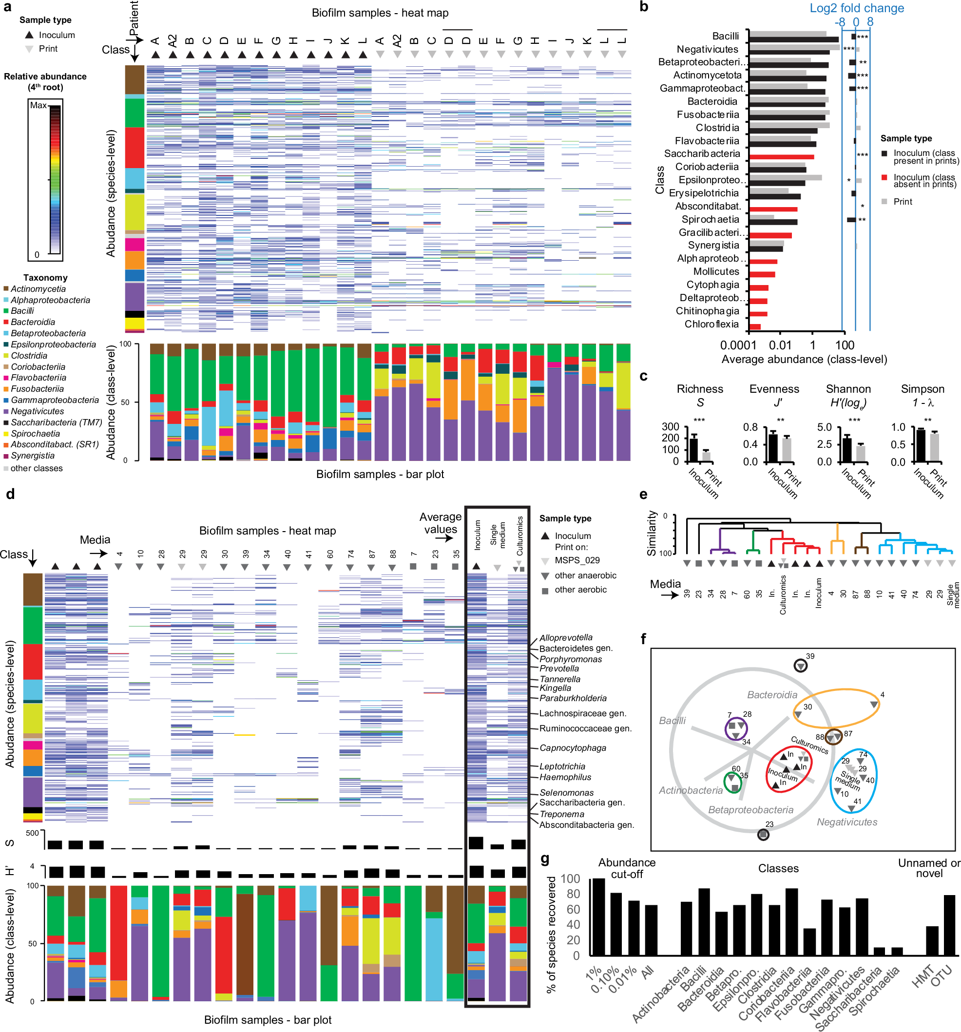 Fig. 3: Composition and diversity of bioprint arrays of colonies.