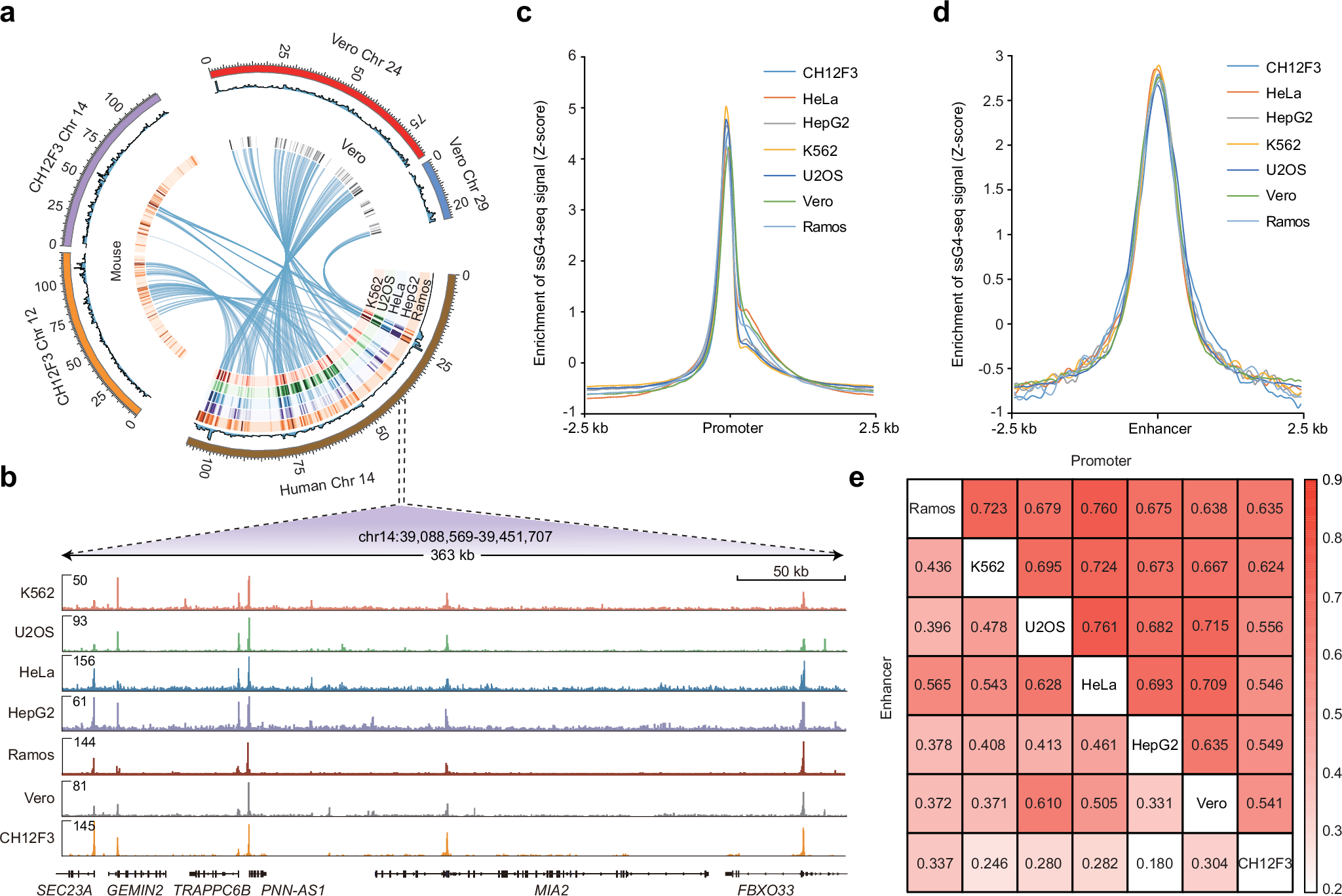 Fig. 3: G4 predominantly enriched in promoters and enhancers across species.