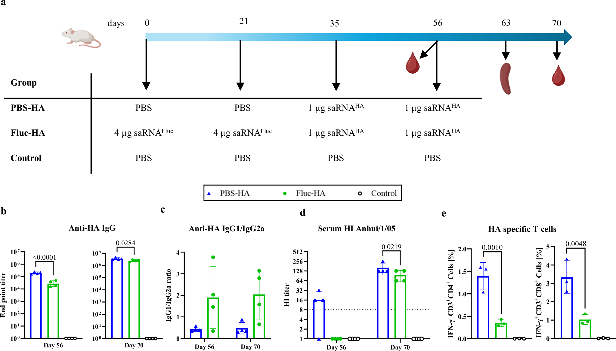 Fig. 5: Pre-treating mice with a 4-fold higher saRNAFluc-LNP dose than the subsequent saRNAHA-LNP vaccine dose affects both anti-HA T cell and antibody responses.
