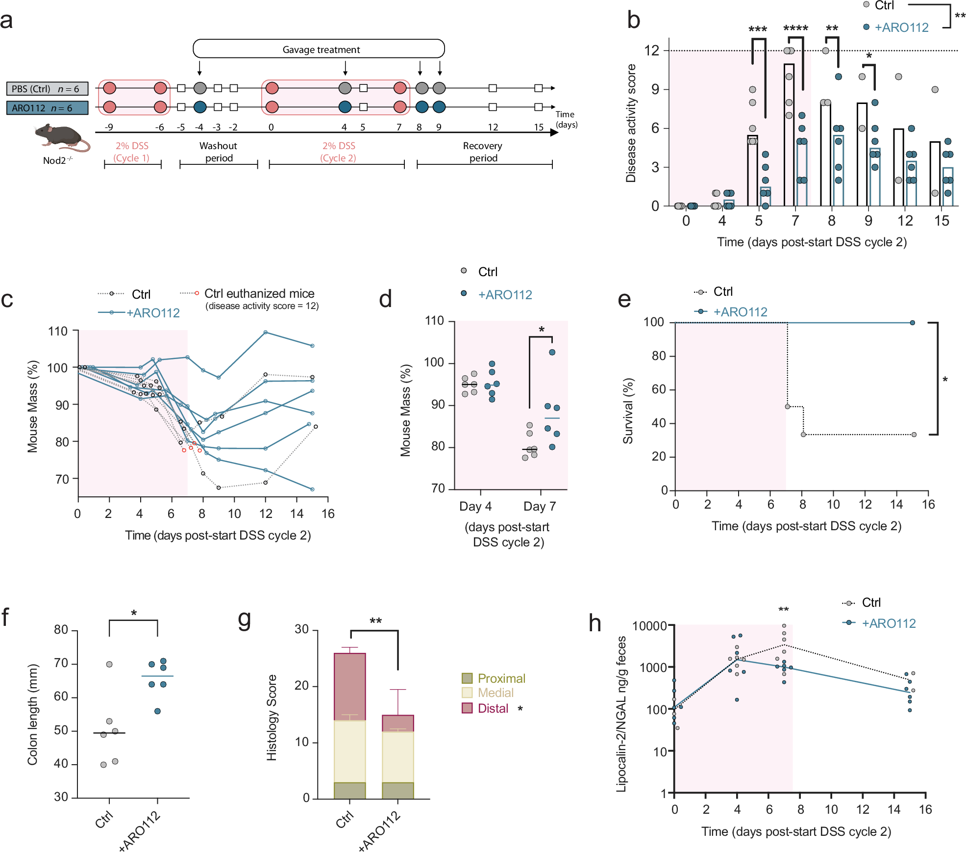 Fig. 7: Protective effect of ARO112 against colitis in DSS-treated mice.
