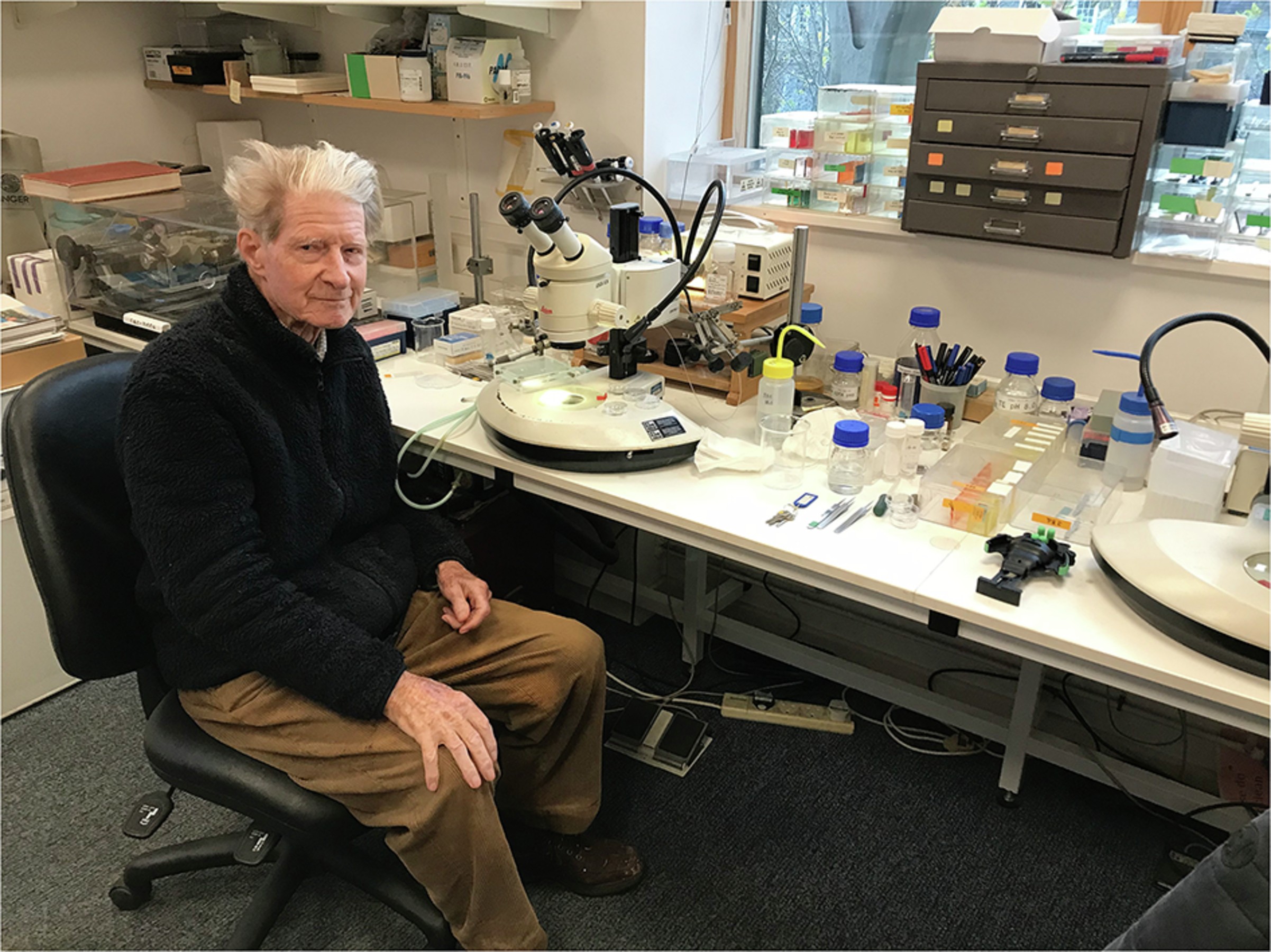 Fig. 2: John at his microscope in his office, where he performed nuclear transfer.