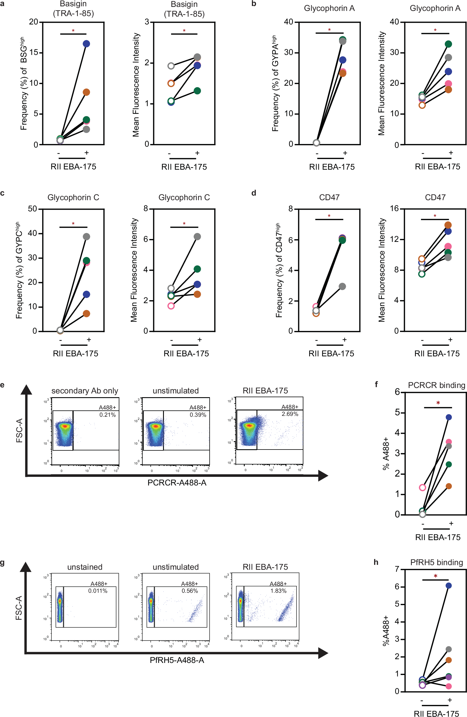 Fig. 6: CD44 cross-linking by P. falciparum EBA-175 increases PCRCR binding to RBCs.