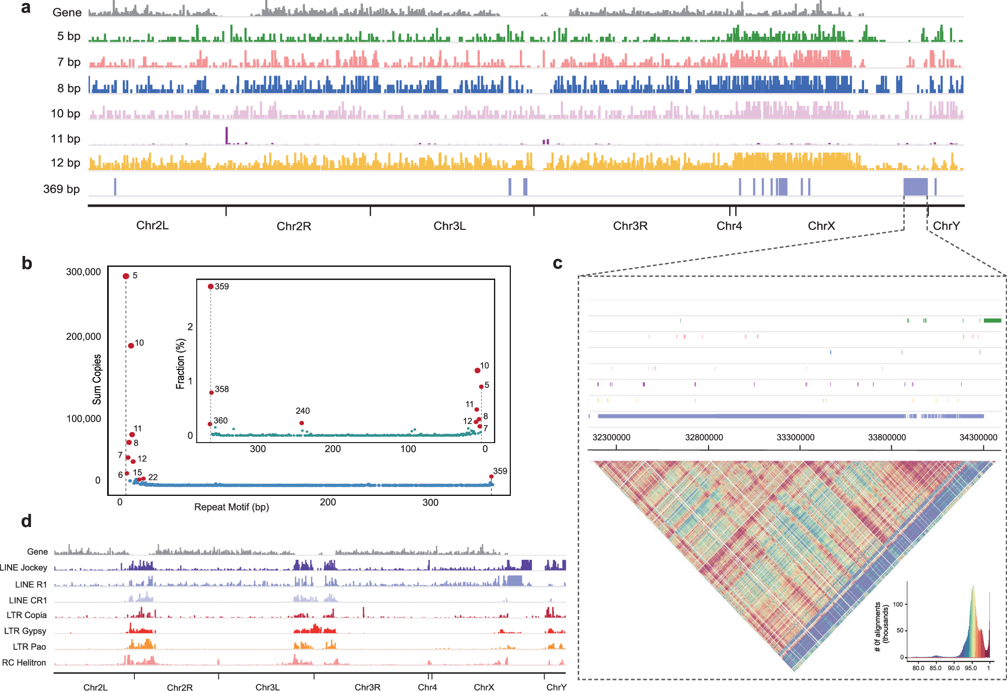 Fig. 3: Identification and visualization of centromeric repeat motifs of the Dm.nT2T genome assembly.