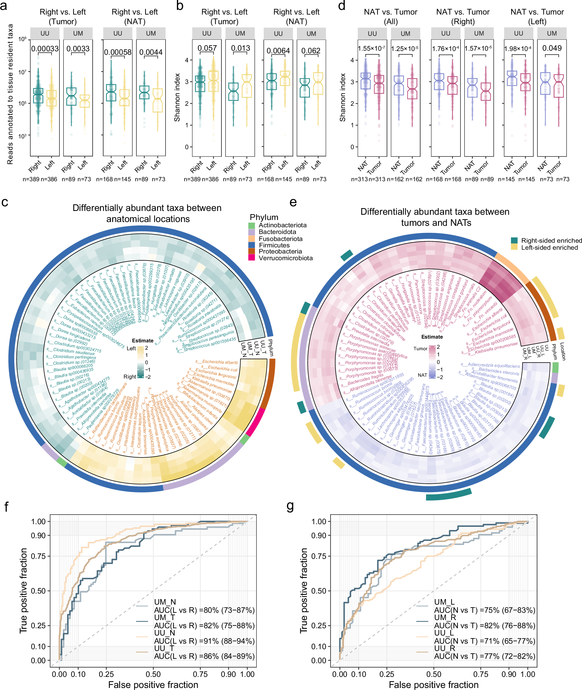 Fig. 2: Tissue-resident microbiome in different anatomical locations of the colon and rectum.