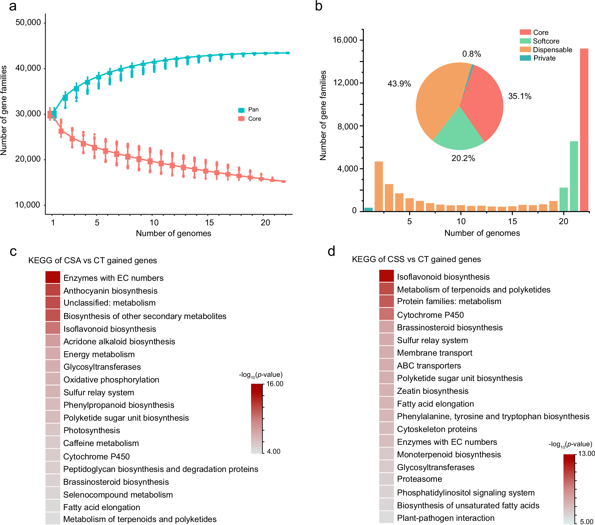 Fig. 2: Pangenome analysis and gene gain/loss patterns.