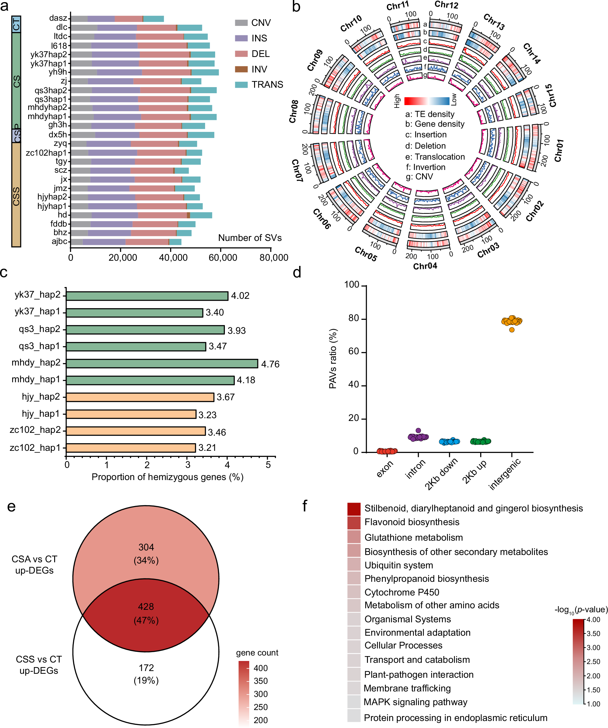Fig. 3: Structural variations in the tea plant genomes.