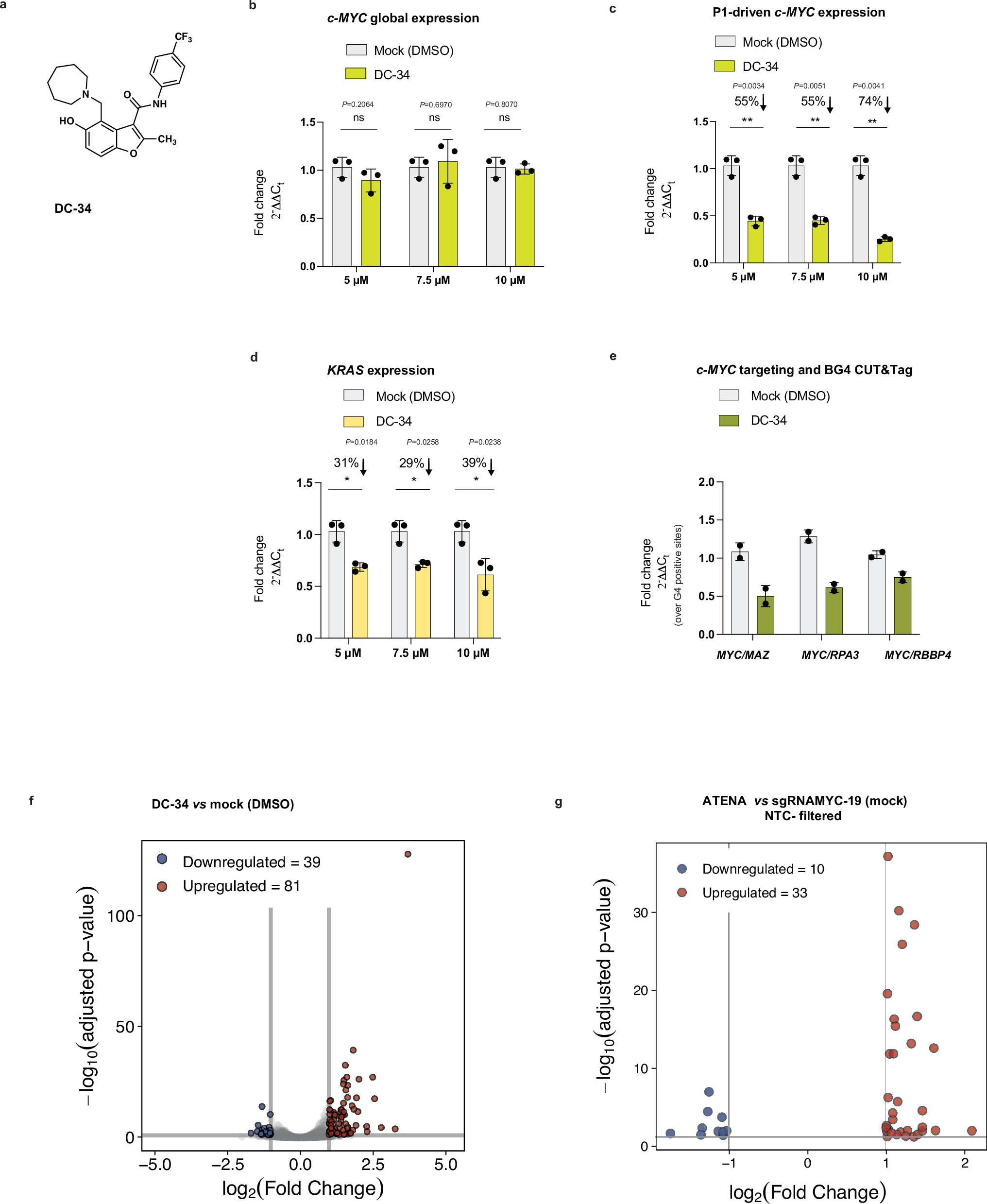 Fig. 3: The selective MYC-G4 ligand DC-34 matches ATENA.