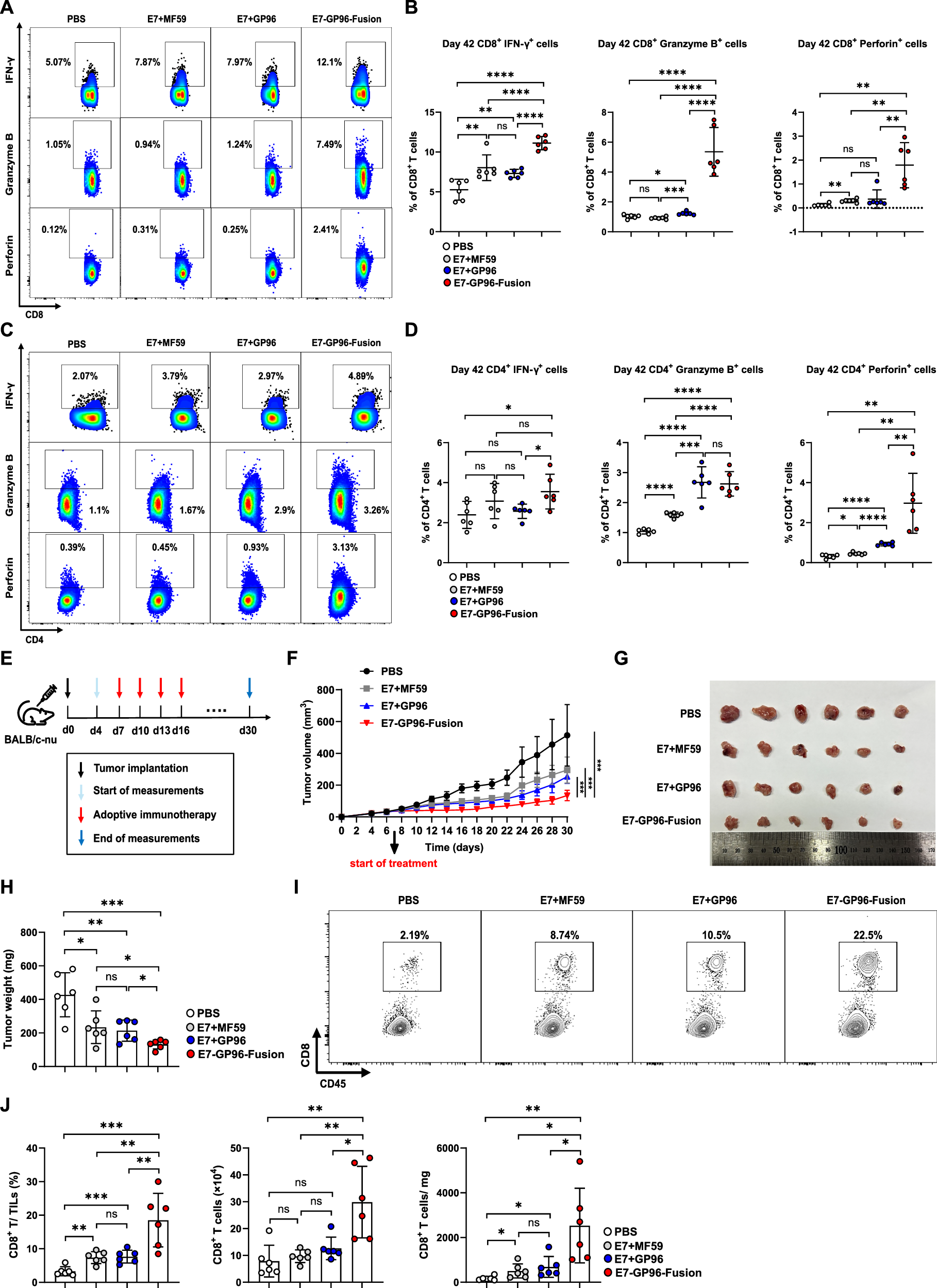 Fig. 7: Design and evaluation the clearance effect of E7-GP96-Fusion protein against HPV+ tumors.