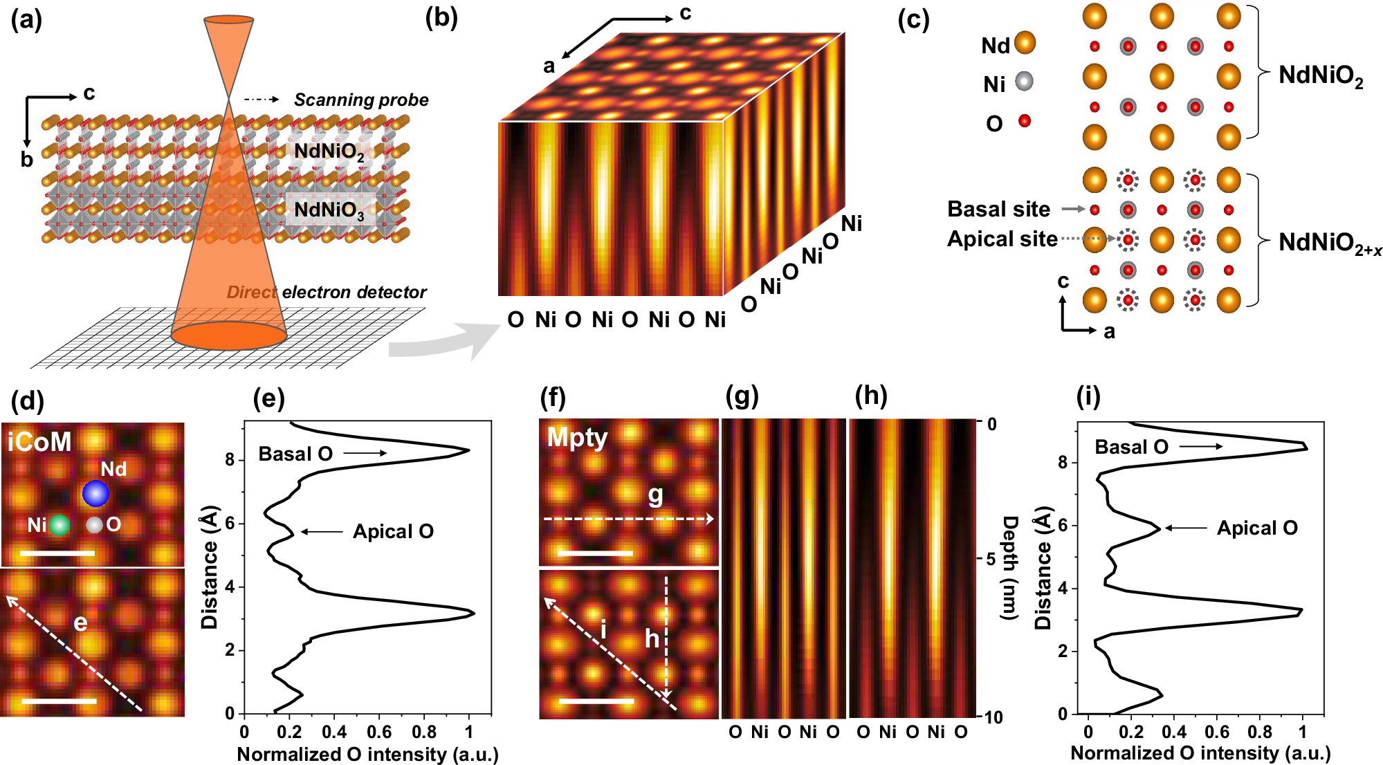 Fig. 1: Simulated multislice ptychography reconstruction of infinite layer nickelates with residual oxygen.