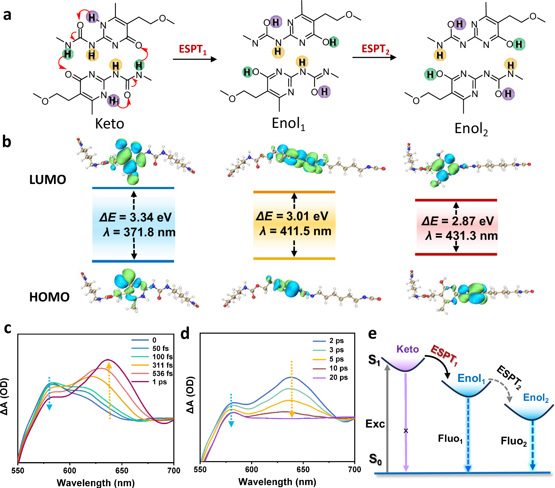 Fig. 3: Excited state ultrafast dynamics of UPy dimers.