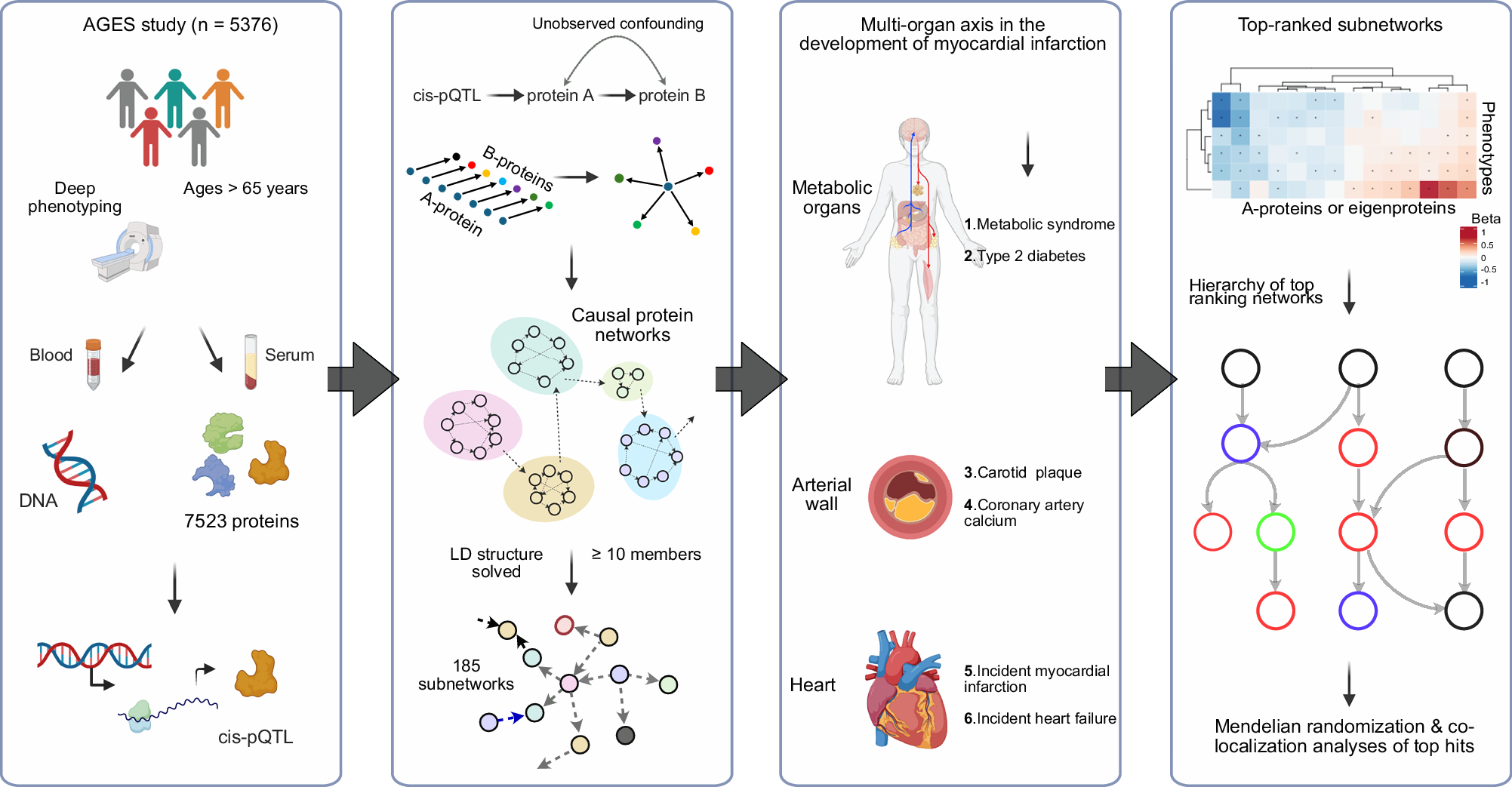 Fig. 1: A flowchart outlining the study overview and approach.