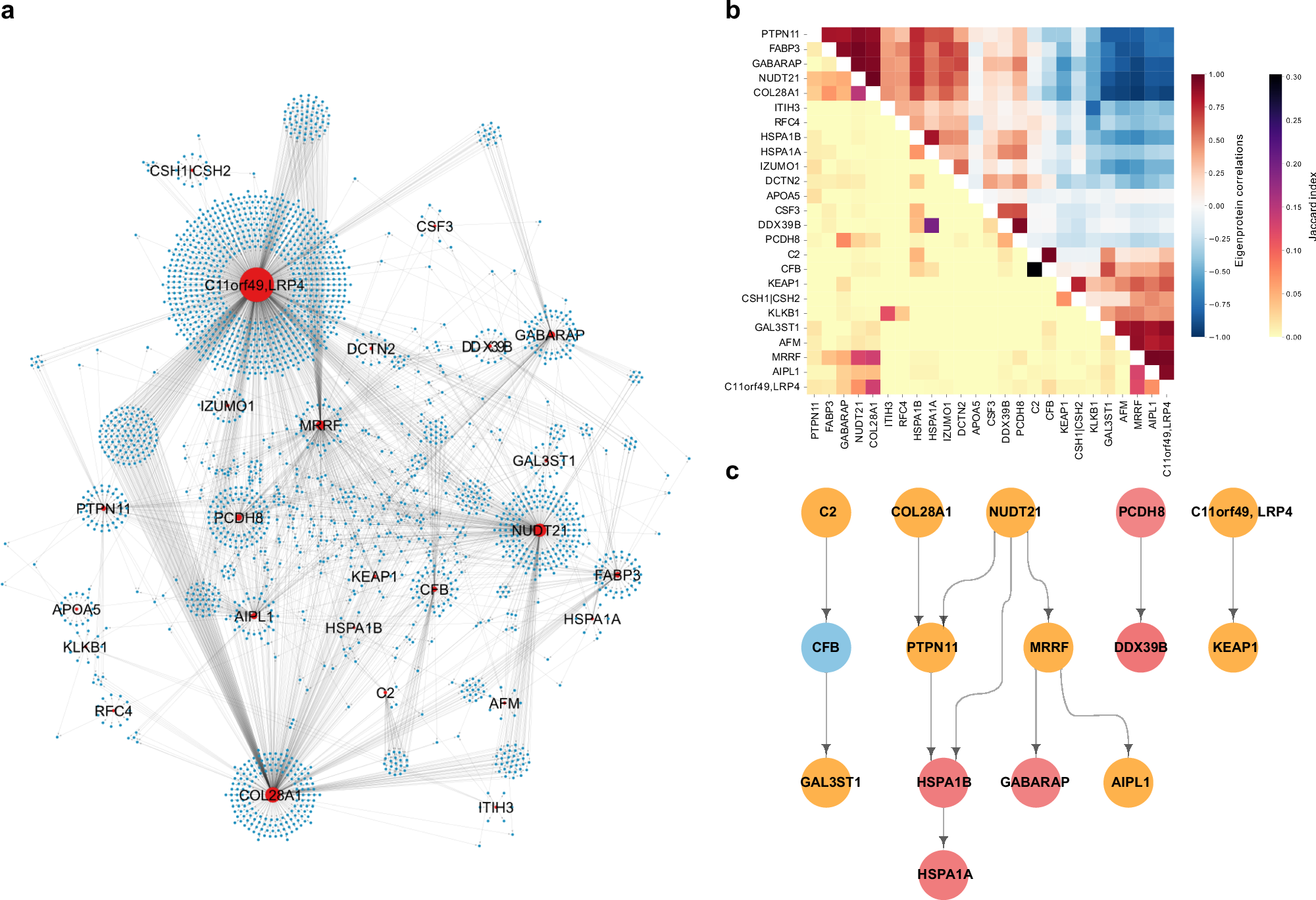 Fig. 6: Interconnectivity between the top ranked causal protein networks associated with myocardial infarction and/or related traits.