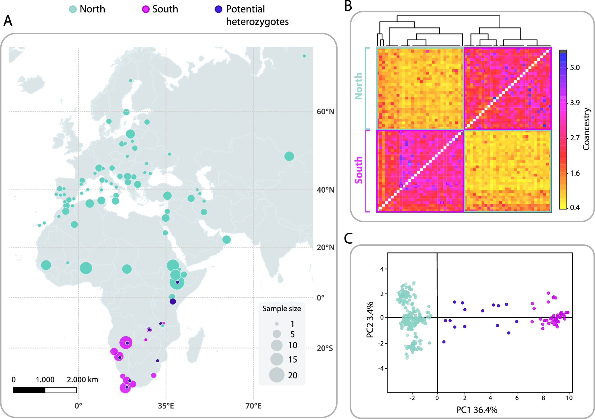Fig. 2: Genomics of a migratory divide in the butterfly Vanessa cardui.