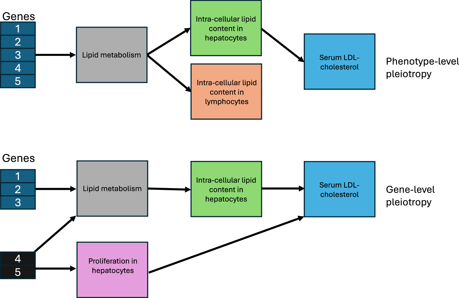 Fig. 2: Phenotype-level and gene-level pleiotropy.