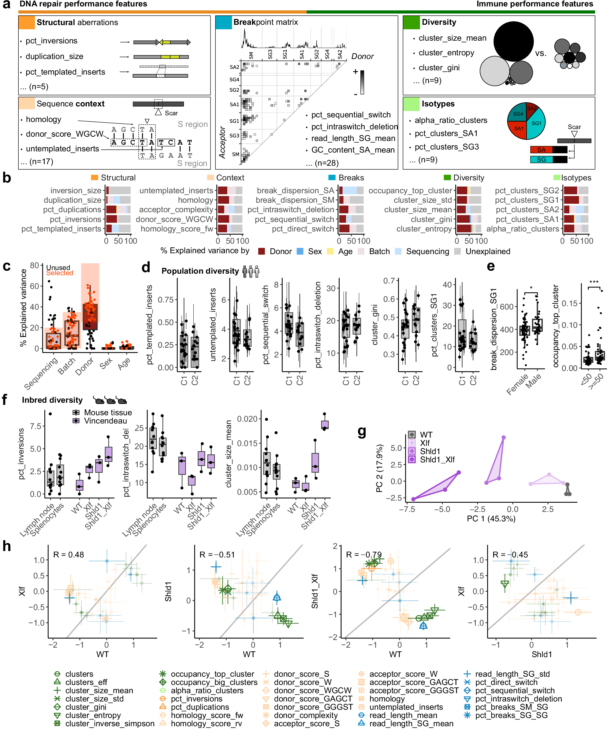 Fig. 2: A catalogue of CSR junction characteristics to assess immunocompetence and DNA repair in human and mouse.